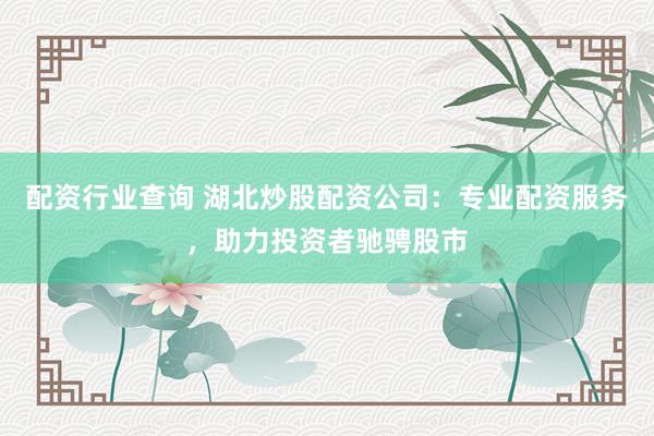 配资行业查询 湖北炒股配资公司：专业配资服务，助力投资者驰骋股市
