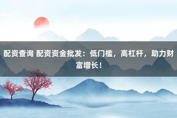 配资查询 配资资金批发：低门槛，高杠杆，助力财富增长！