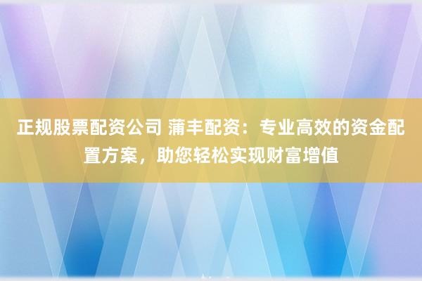正规股票配资公司 蒲丰配资：专业高效的资金配置方案，助您轻松实现财富增值