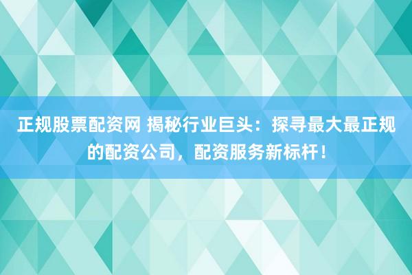 正规股票配资网 揭秘行业巨头：探寻最大最正规的配资公司，配资服务新标杆！