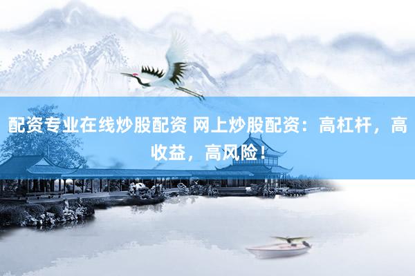 配资专业在线炒股配资 网上炒股配资：高杠杆，高收益，高风险！