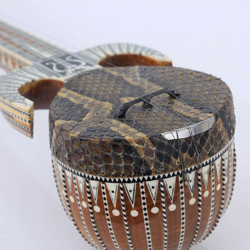 热瓦普乐器新疆喀什热瓦普蟒皮成人专业演奏收藏级琴送琴包送配件